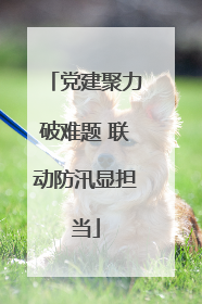 党建聚力破难题 联动防汛显担当