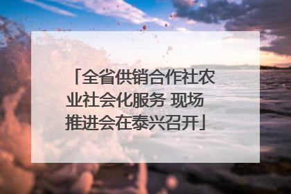 全省供销合作社农业社会化服务 现场推进会在泰兴召开