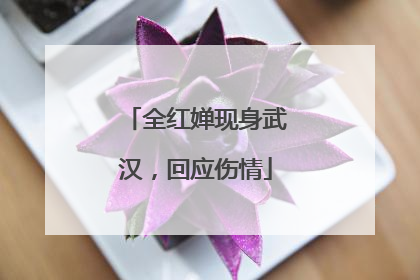 全红婵现身武汉，回应伤情