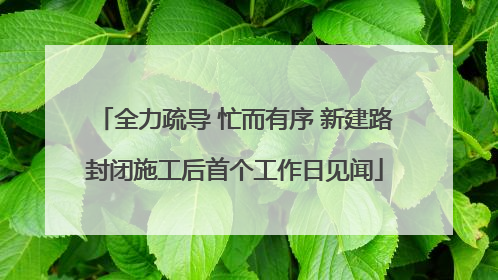 全力疏导 忙而有序 新建路封闭施工后首个工作日见闻
