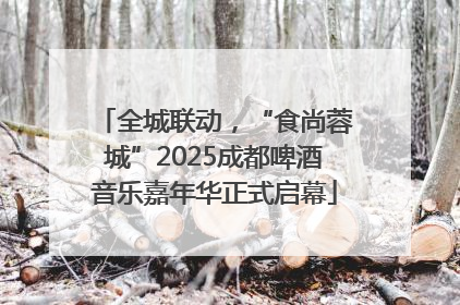 全城联动，“食尚蓉城”2025成都啤酒音乐嘉年华正式启幕