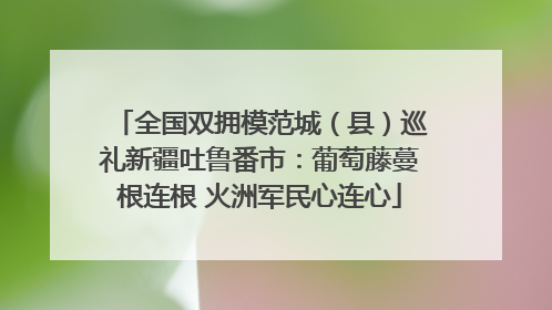 全国双拥模范城（县）巡礼新疆吐鲁番市：葡萄藤蔓根连根 火洲军民心连心