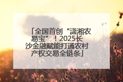 全国首创“潇湘农易宝”！2025长沙金融赋能打通农村产权交易全链条