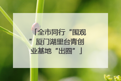 全市同行“围观”厦门湖里台青创业基地“出圈”