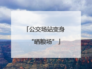 公交场站变身“晒粮场”