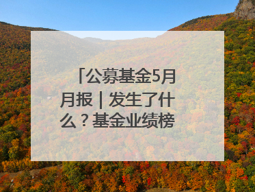 公募基金5月月报｜发生了什么？基金业绩榜变化这么大！
