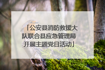 公安县消防救援大队联合县应急管理局开展主题党日活动