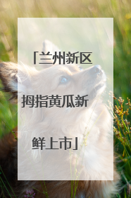 兰州新区拇指黄瓜新鲜上市