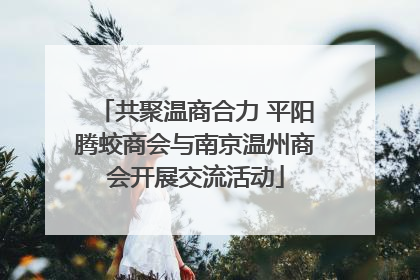 共聚温商合力 平阳腾蛟商会与南京温州商会开展交流活动