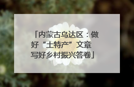 内蒙古乌达区：做好“土特产”文章 写好乡村振兴答卷