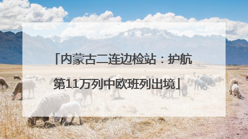 内蒙古二连边检站：护航第11万列中欧班列出境