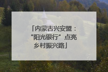 内蒙古兴安盟：“阳光银行”点亮乡村振兴路