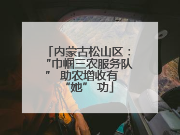内蒙古松山区：“巾帼三农服务队” 助农增收有 “她” 功
