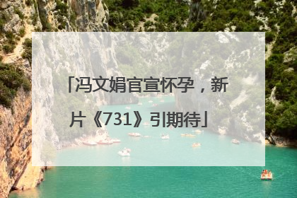 冯文娟官宣怀孕，新片《731》引期待