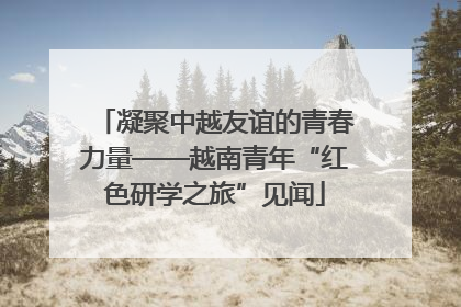 凝聚中越友谊的青春力量——越南青年“红色研学之旅”见闻