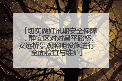 切实做好汛期安全保障，静安区对对昌平路桥、安远桥景观照明设施进行全面检查与维护