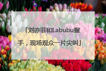 刘亦菲和Labubu握手，现场观众一片尖叫