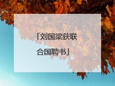 刘国梁获联合国聘书