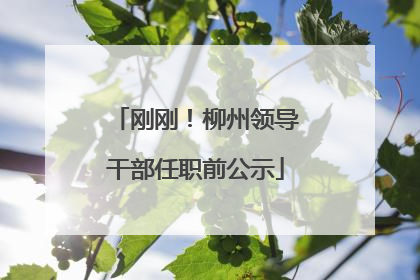 刚刚！柳州领导干部任职前公示