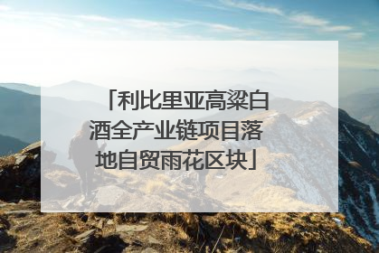 利比里亚高粱白酒全产业链项目落地自贸雨花区块