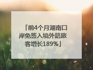 前4个月湖南口岸免签入境外籍旅客增长189%