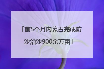 前5个月内蒙古完成防沙治沙900余万亩