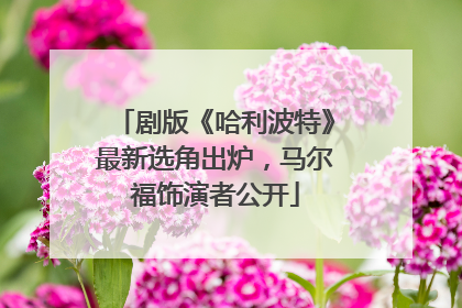剧版《哈利波特》最新选角出炉，马尔福饰演者公开