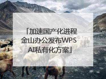 加速国产化进程 金山办公发布WPS AI私有化方案