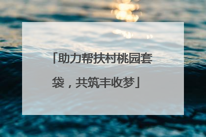 助力帮扶村桃园套袋，共筑丰收梦