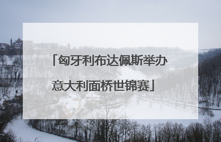 匈牙利布达佩斯举办意大利面桥世锦赛