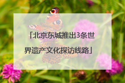 北京东城推出3条世界遗产文化探访线路
