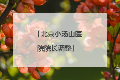 北京小汤山医院院长调整