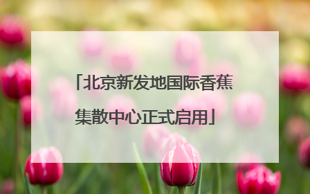 北京新发地国际香蕉集散中心正式启用