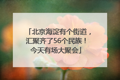 北京海淀有个街道，汇聚齐了56个民族！今天有场大聚会