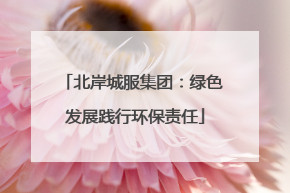 北岸城服集团：绿色发展践行环保责任