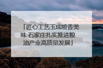 匠心工艺玉成喷香美味 石家庄扎实推进粮油产业高质量发展