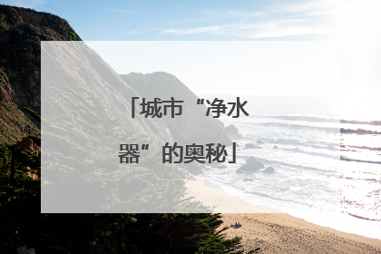 城市“净水器”的奥秘