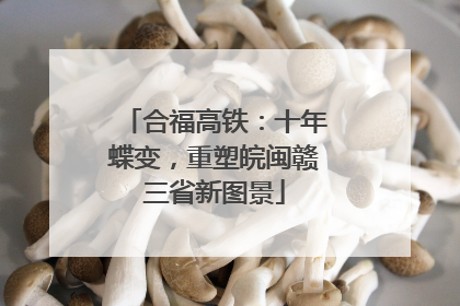 合福高铁：十年蝶变，重塑皖闽赣三省新图景