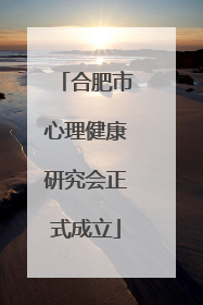 合肥市心理健康研究会正式成立