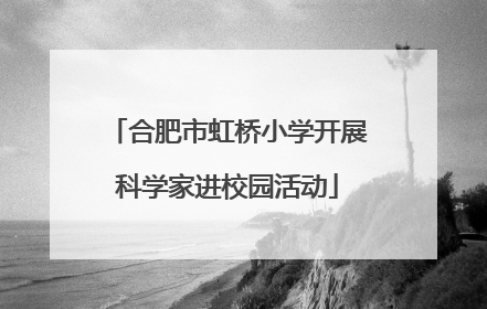 合肥市虹桥小学开展科学家进校园活动