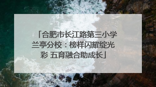 合肥市长江路第三小学兰亭分校：榜样闪耀绽光彩 五育融合助成长