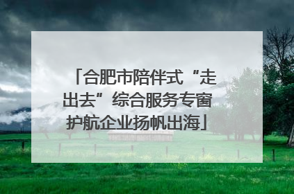 合肥市陪伴式“走出去”综合服务专窗护航企业扬帆出海