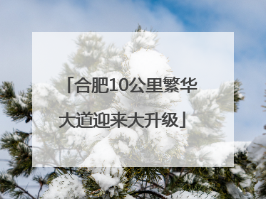 合肥10公里繁华大道迎来大升级