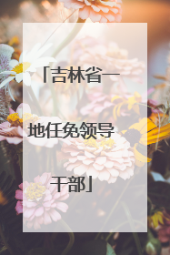 吉林省一地任免领导干部