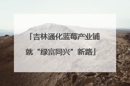 吉林通化蓝莓产业铺就“绿富同兴”新路