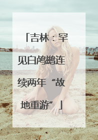 吉林：罕见白鸬鹚连续两年“故地重游”