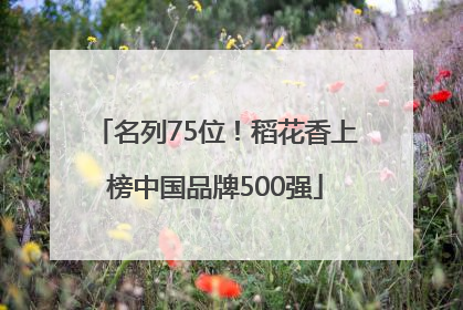 名列75位！稻花香上榜中国品牌500强