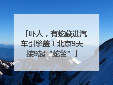 吓人，有蛇藏进汽车引擎盖！北京9天接9起“蛇警”