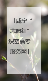 咸宁“志愿红”织密高考服务网