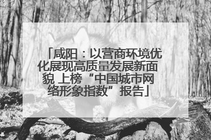 咸阳：以营商环境优化展现高质量发展新面貌 上榜“中国城市网络形象指数”报告